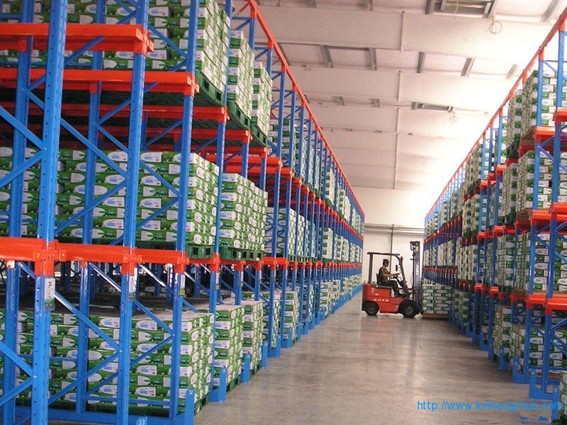 HZ-798型通廊式貨架 通廊式倉(cāng)庫(kù)貨架應(yīng)用案例 HZ-798型通廊式貨架 通廊式倉(cāng)庫(kù)貨架應(yīng)用案例